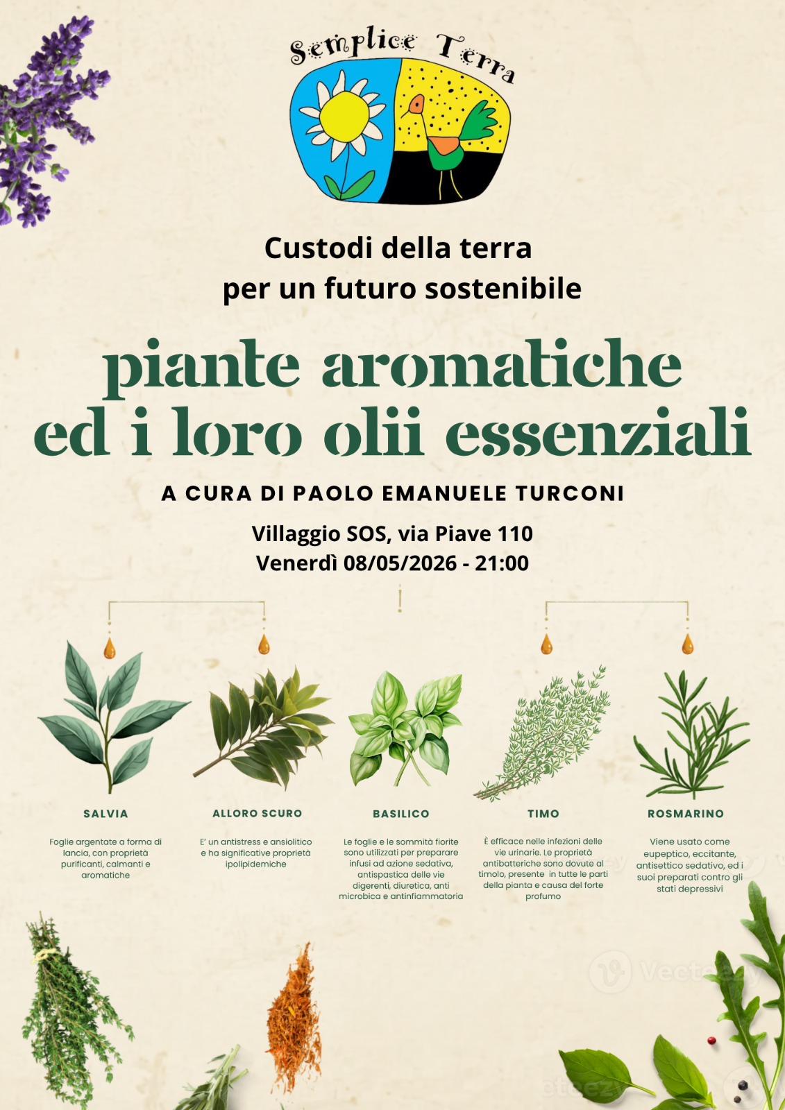 Piante aromatiche ed i loro olii essenziali