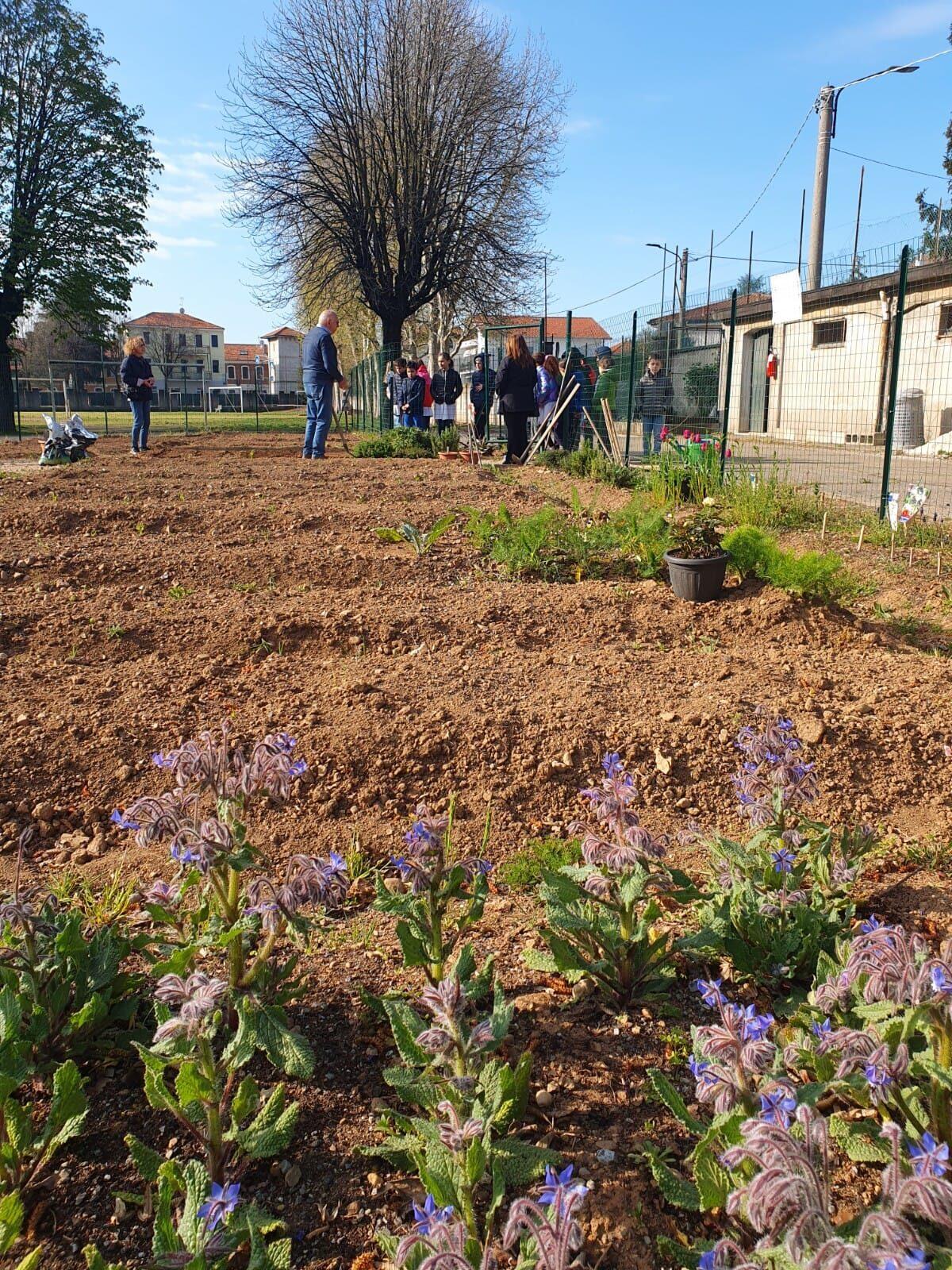 Volontari al lavoro in un orto condiviso